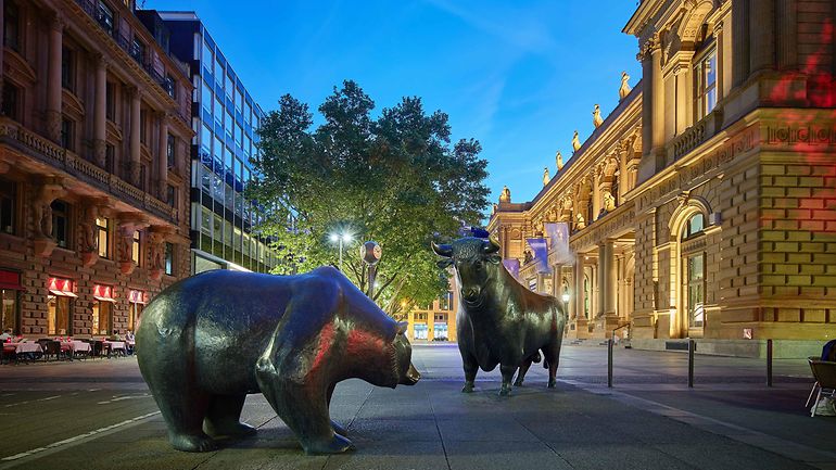 Bull and bear at night