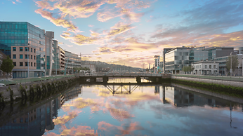 Cork